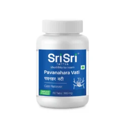 Pavanahara Vati - Gas Reliever, 60 Tabs | 500 mg